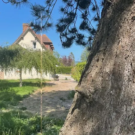 Vakantiehuis 4 Mn De La Et Cabourg, Piscine, Cheminee, Table De Ping Pong, Balancoire Varaville