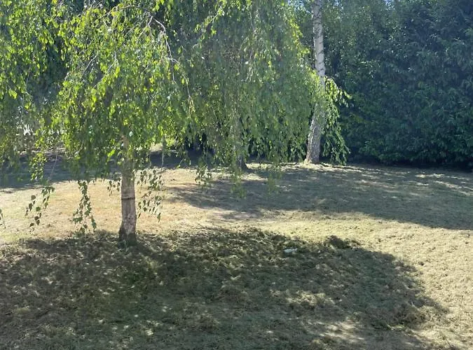 4 Mn De La Et Cabourg, Piscine, Cheminee, Table De Ping Pong, Balancoire *